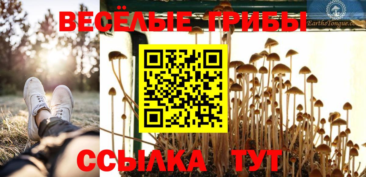 Великий Новгород  купить наркотики сайты  Вход с VPN  Галлюциногенные грибы Psilocybine cubensis 